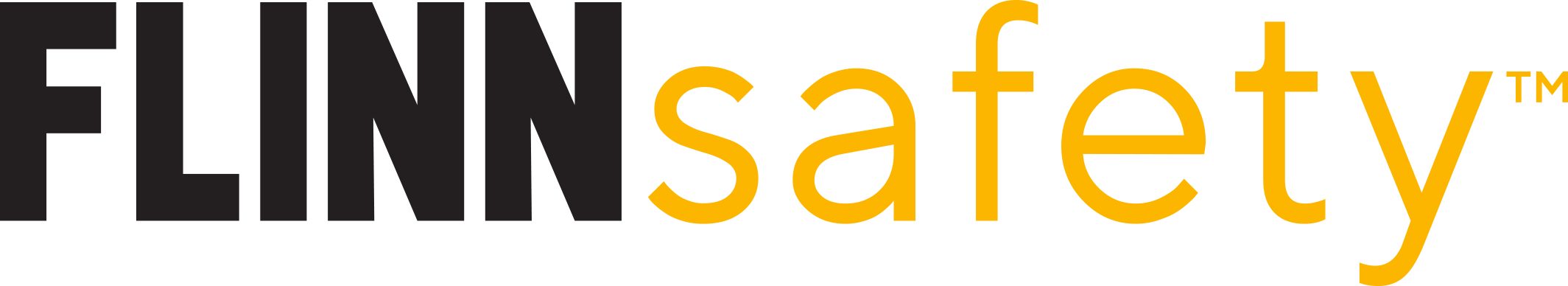 FLINNsafety logo